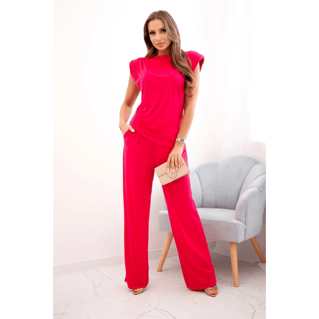 Fuksijos spalvos komplektas